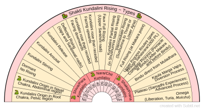 Kundalini Rising Types.png